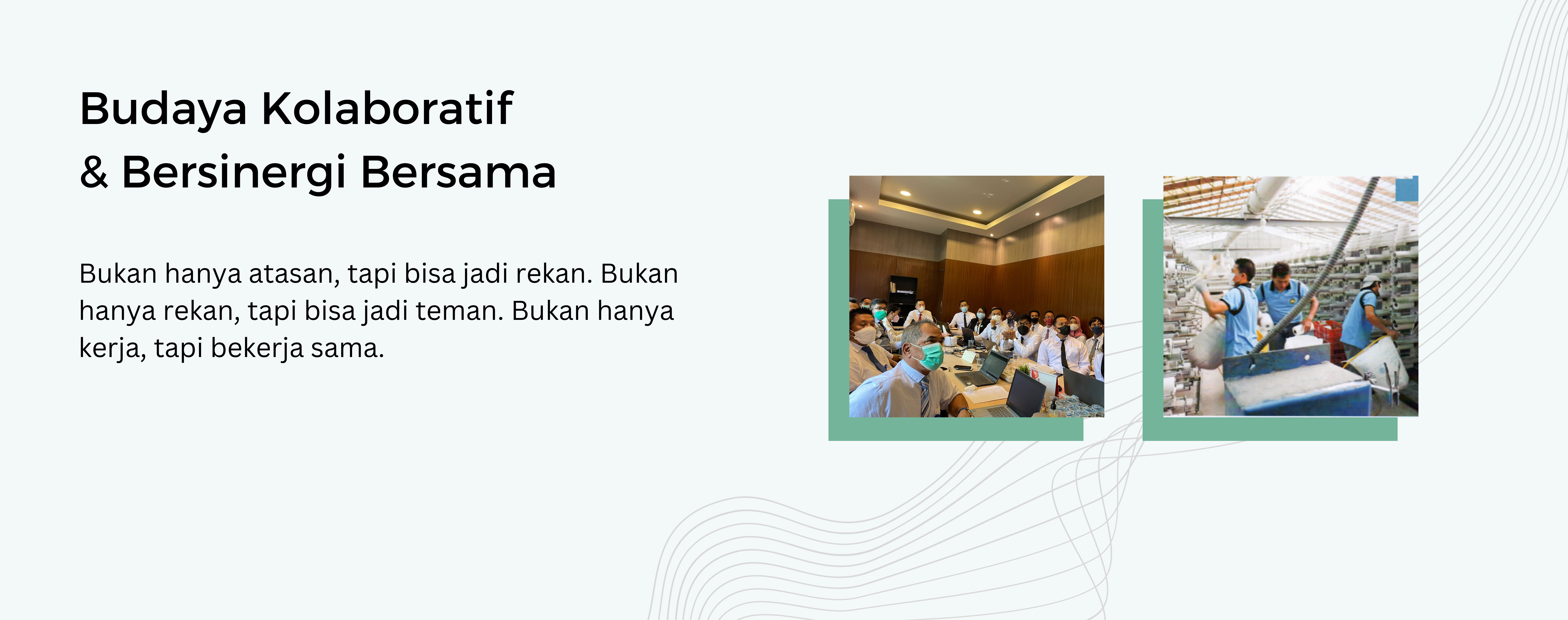First slide